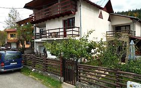 Vila Nik Busteni