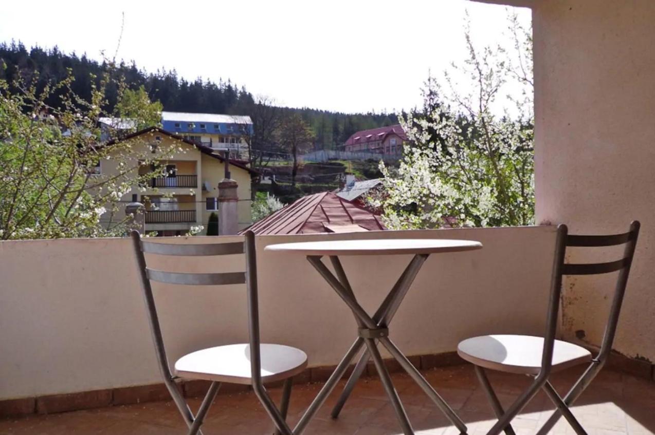 Vila Nik Buşteni Exterior foto