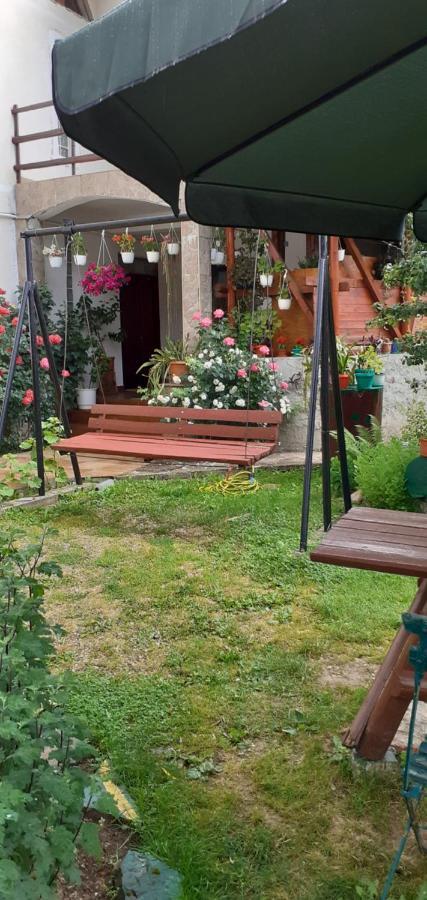 Vila Nik Buşteni Cameră foto