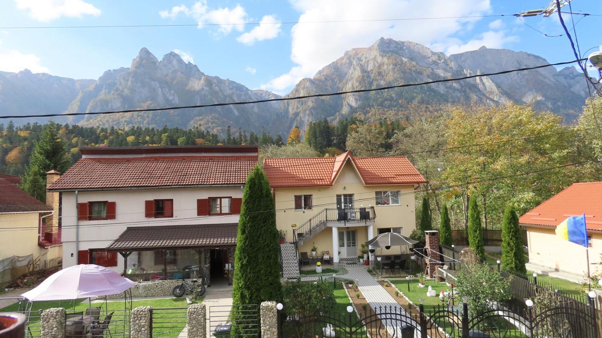 Vila Nik Buşteni Exterior foto